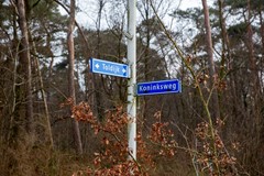 koninksweg 3 (4).jpg